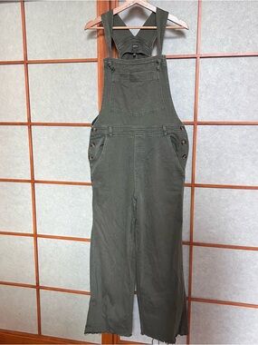 Aerie Olive Green Overalls Denim Large Distressed